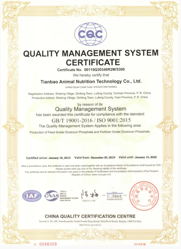 Shamty Sudan Nigeria Eritrea Kenya Wedding Jewelry Set Pure Gold Color African Gold Set Habesha style Romantic A30021